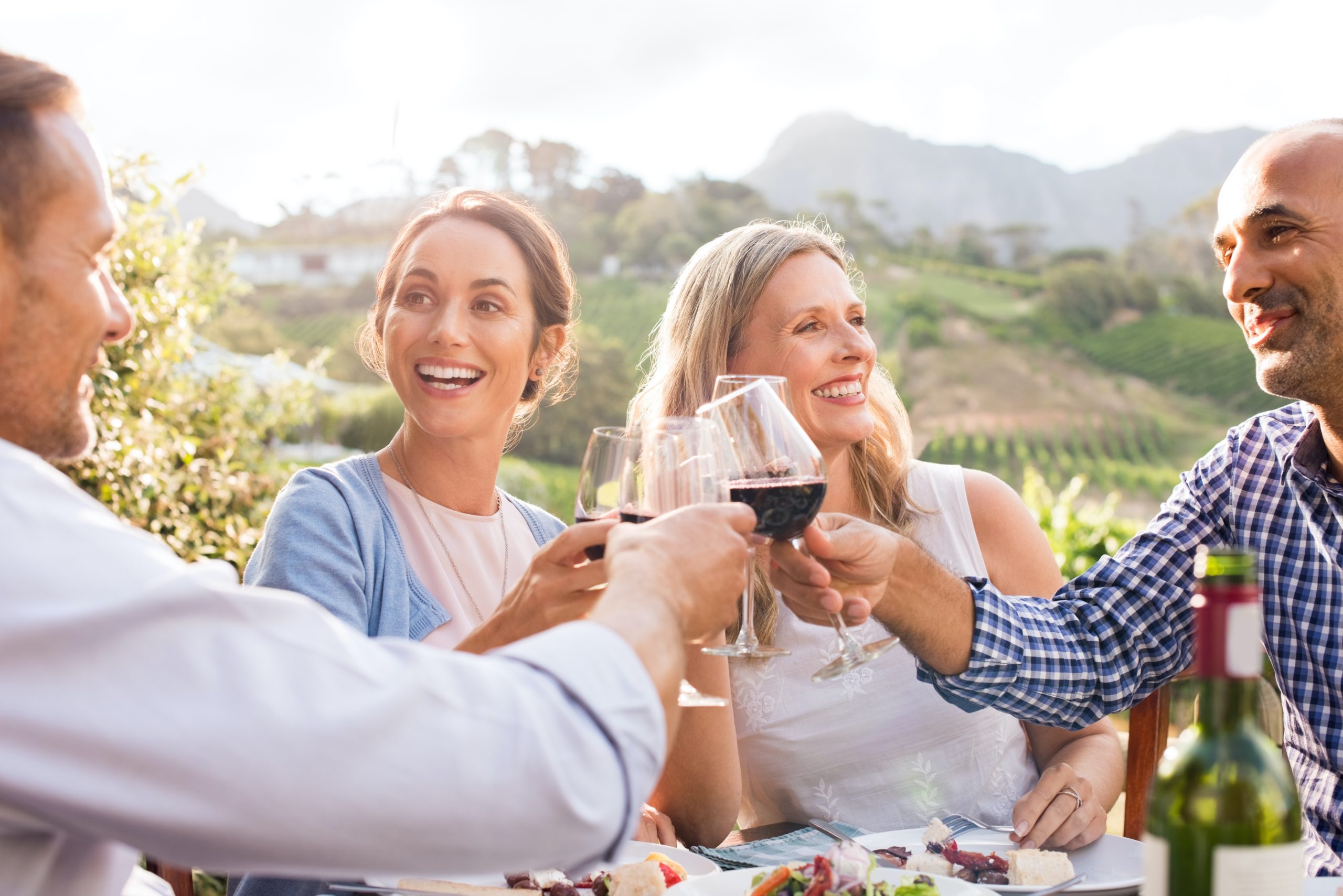 Group of middle aged men and women celebrating in a vineyard